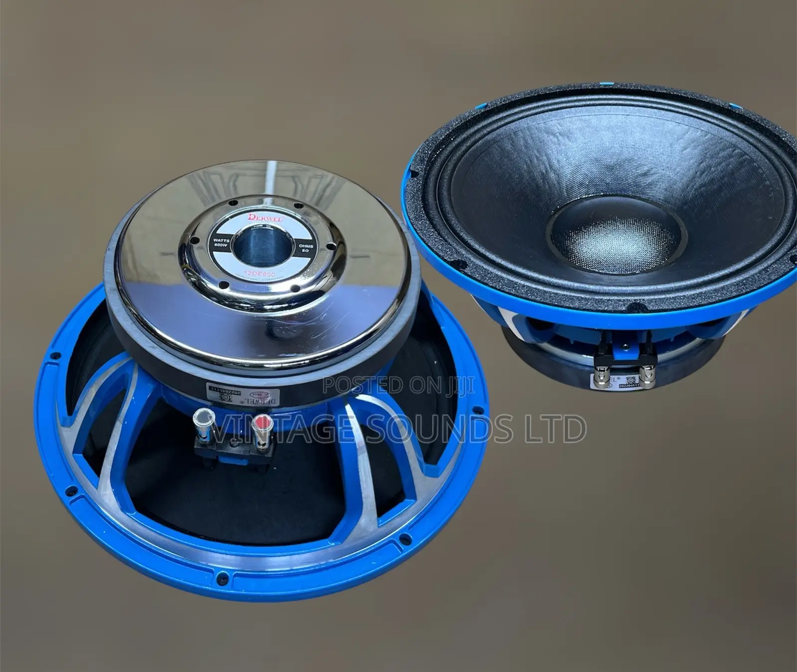 Derwel 12DE600 12" Professional PA Speaker Driver - 600W, 8-Ohm