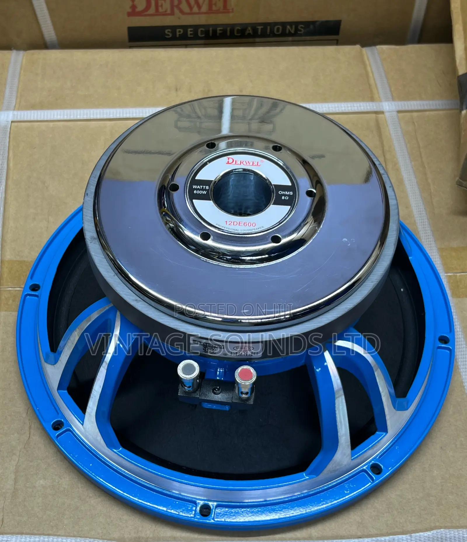 Derwel 12DE600 12" Professional PA Speaker Driver - 600W, 8-Ohm