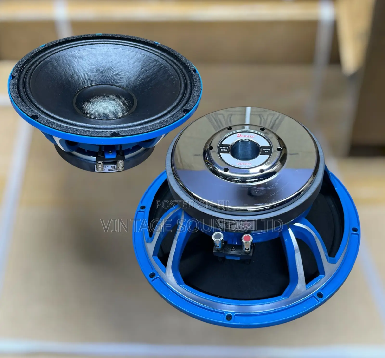 Derwel 12DE600 12-Inch Professional Loudspeaker Component