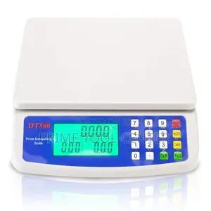 30Kg Digital Weighing Scale Machine