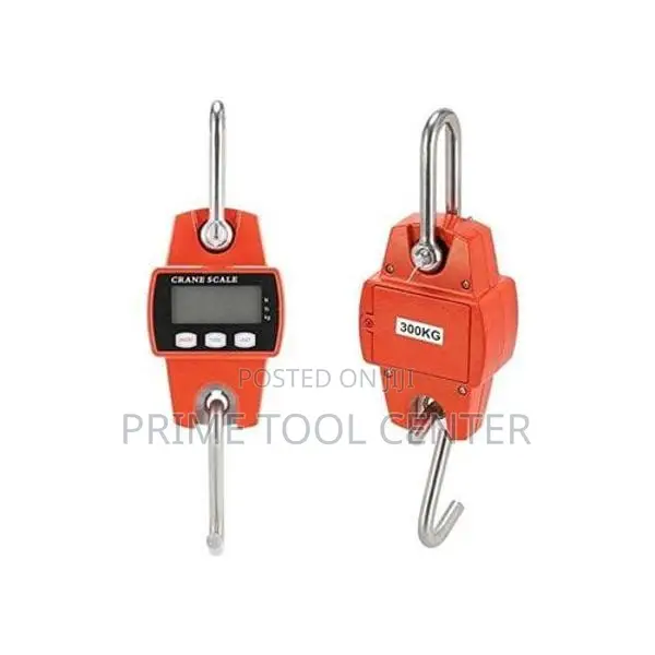 300KGS Crane Digital Weighing Scale