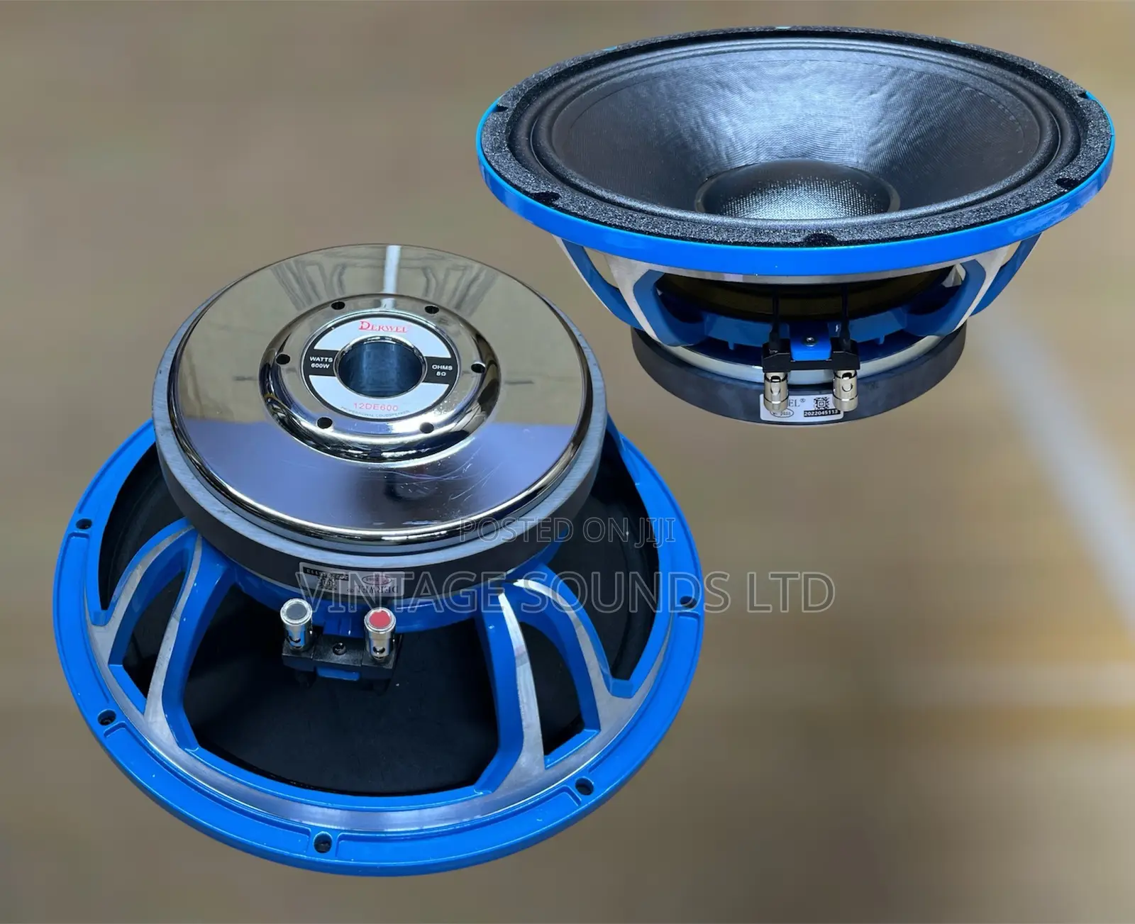 Derwel 12DE600 600W High-Power Long Range Speaker