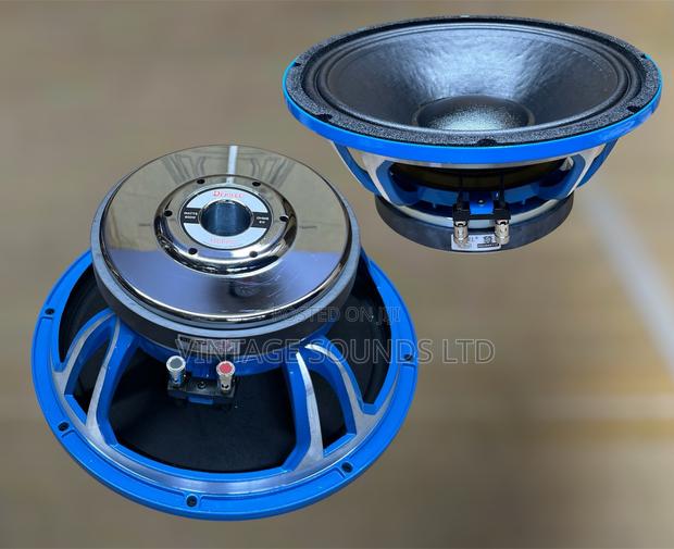 Derwel 12DE600 600W High-Power Long Range Speaker