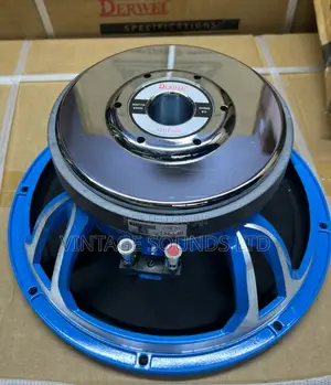 Derwel 12DE600 600W High-Power Long Range Speaker