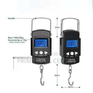 Mini Crane 50 Kg Digital Weigh Scale