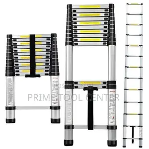2.9M /9.5ft (10 Steps) Telescopic Ladder