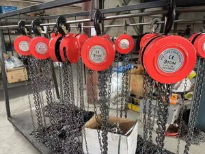 High Quality Chain Block 3TON 3M