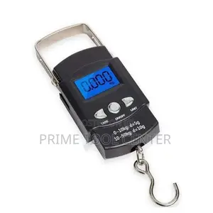 Mini Crane 50 Kg Digital Weigh Scale