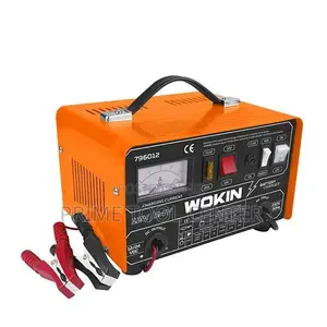 Wokin BATTERY CHARGER 12V/24V