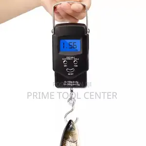 50KG Weighing scale,portable weight scale