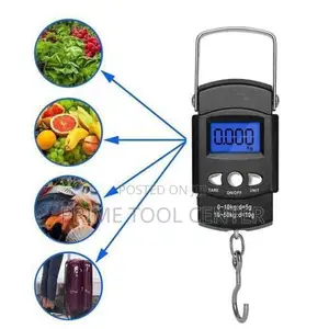Mini Crane 50 Kg Digital Weigh Scale