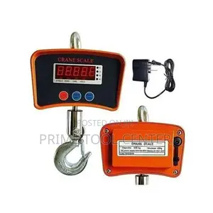 Quality 500Kgs- Mini Industrial Crane Scale