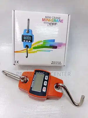 Mini Crane Scale 300kg