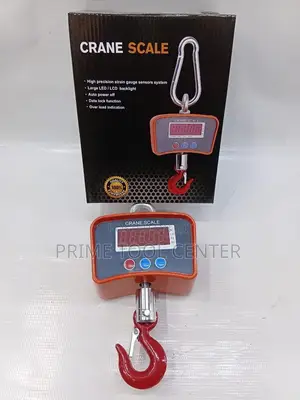 Heavy duty 500kg Crane Scale