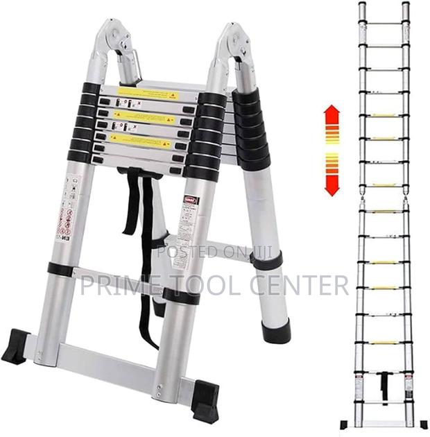 Double sided telescopic ladder