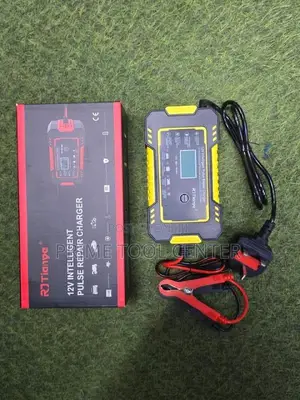 RJ Tianye 12V Intelligent Pulse Repair Charger /Battery charger