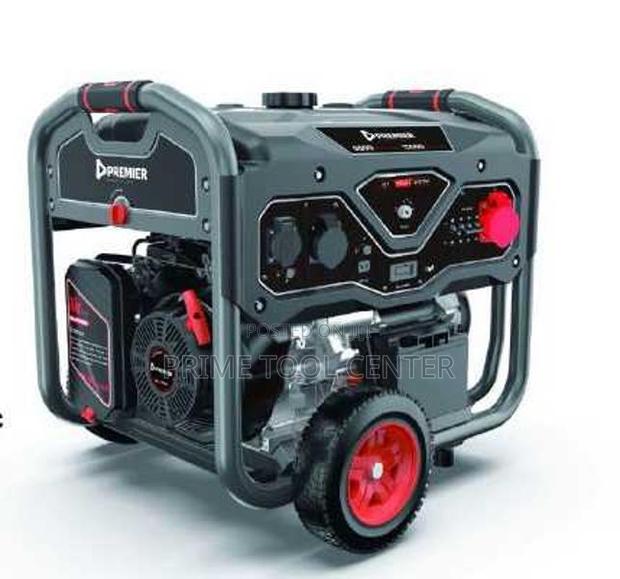 Premier LS13500EBDG gasoline generator 9Kw