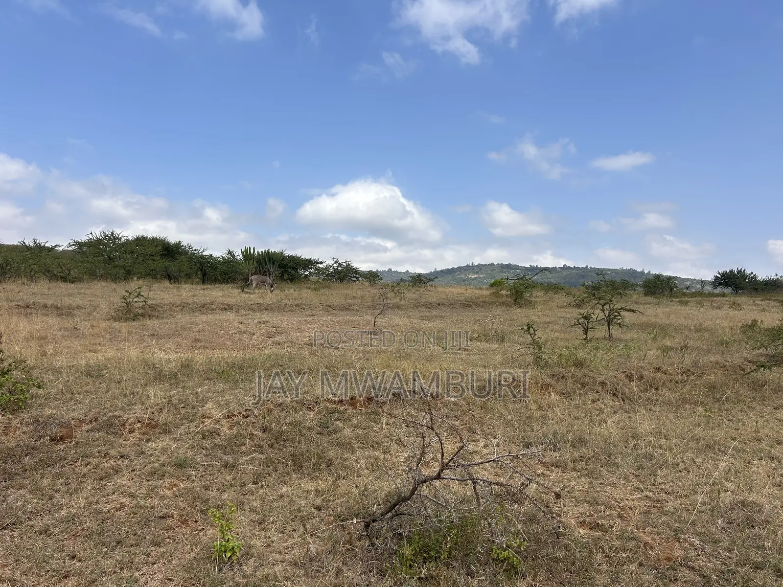 16 Acres Mua Hills