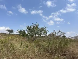 16 Acres Mua Hills