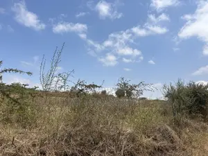 16 Acres Mua Hills
