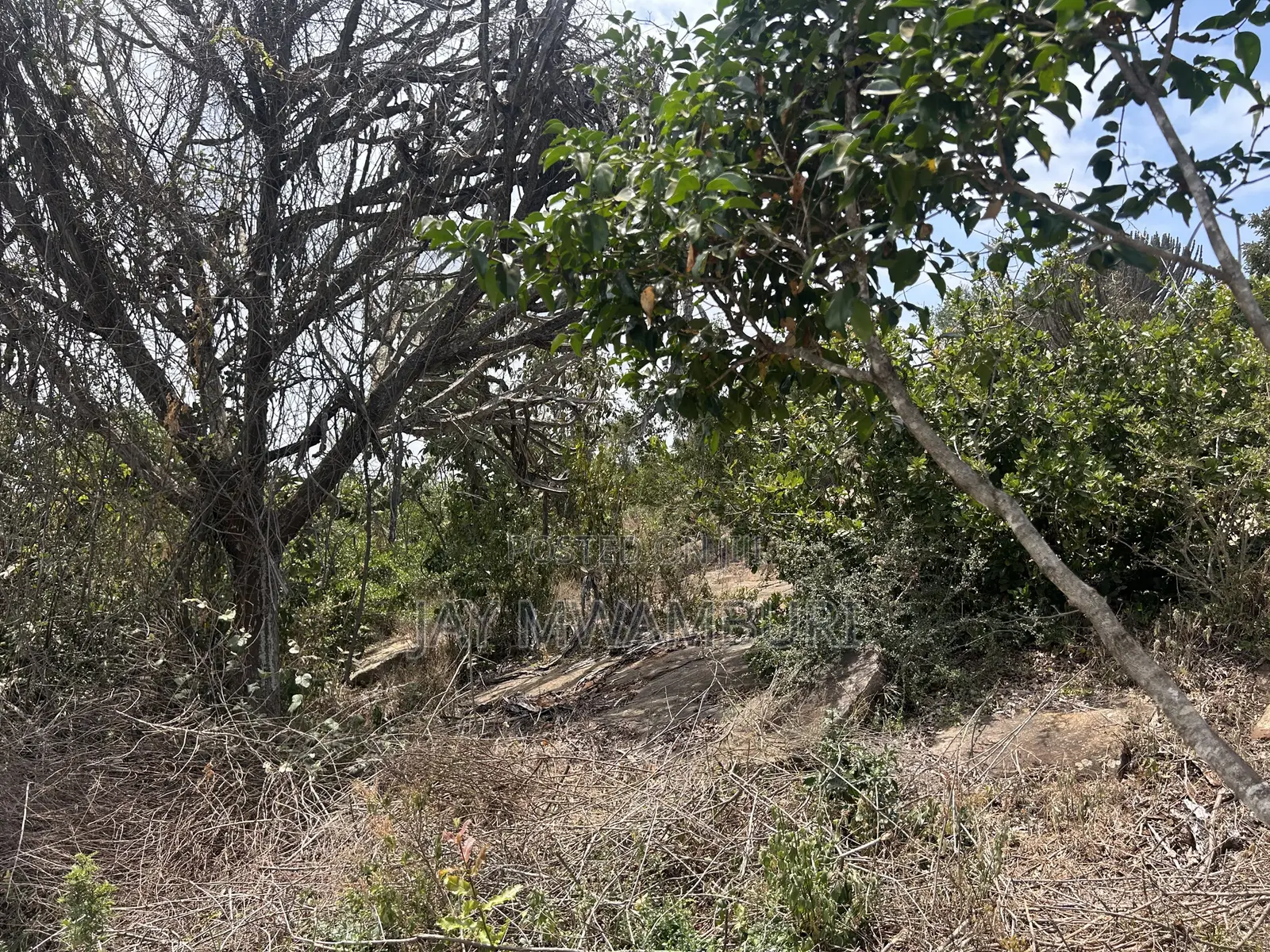 16 Acres Mua Hills