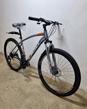The Reset 29-Inch Mountain