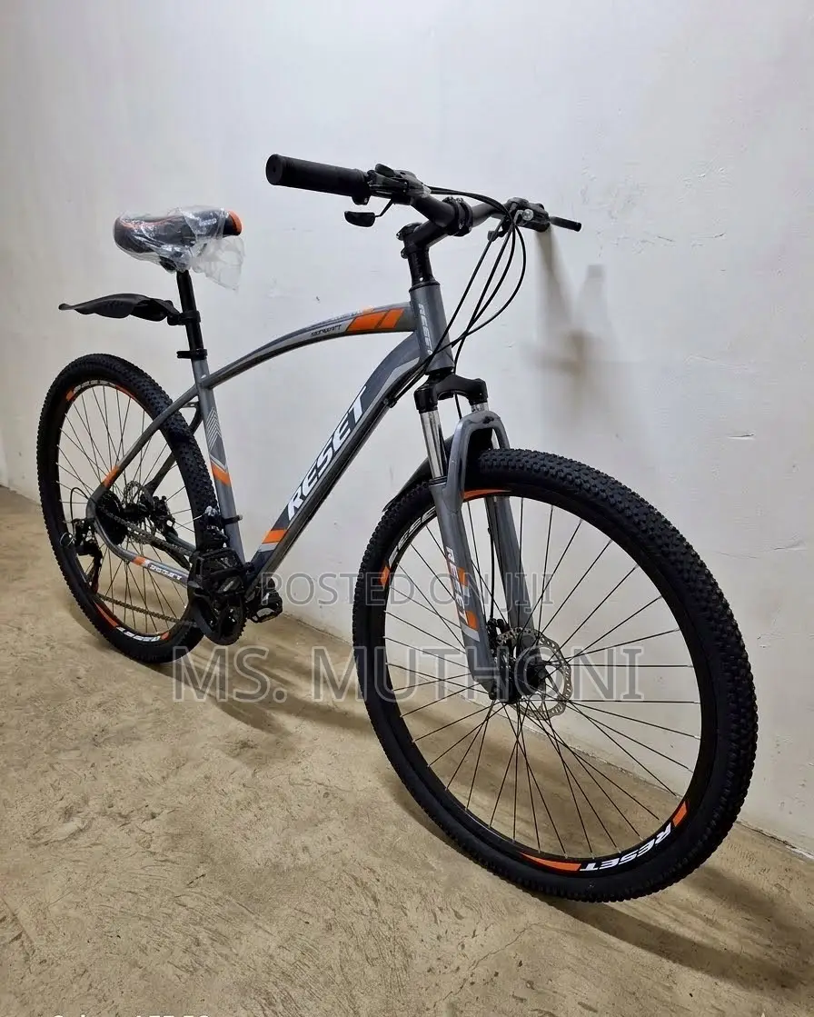The Reset 29-Inch Mountain