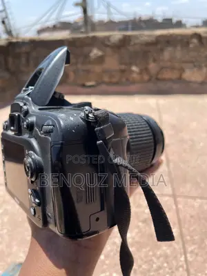 Nikon D7100