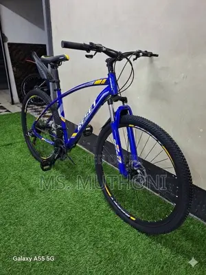 the Blue Reset Mountain Bicycle