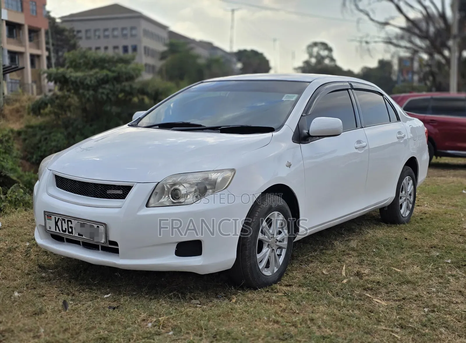 Toyota Axio 2008 Pearl