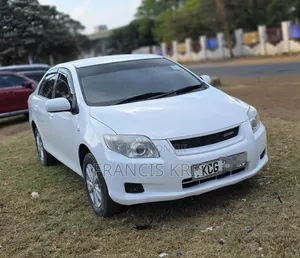 Toyota Axio 2008 Pearl