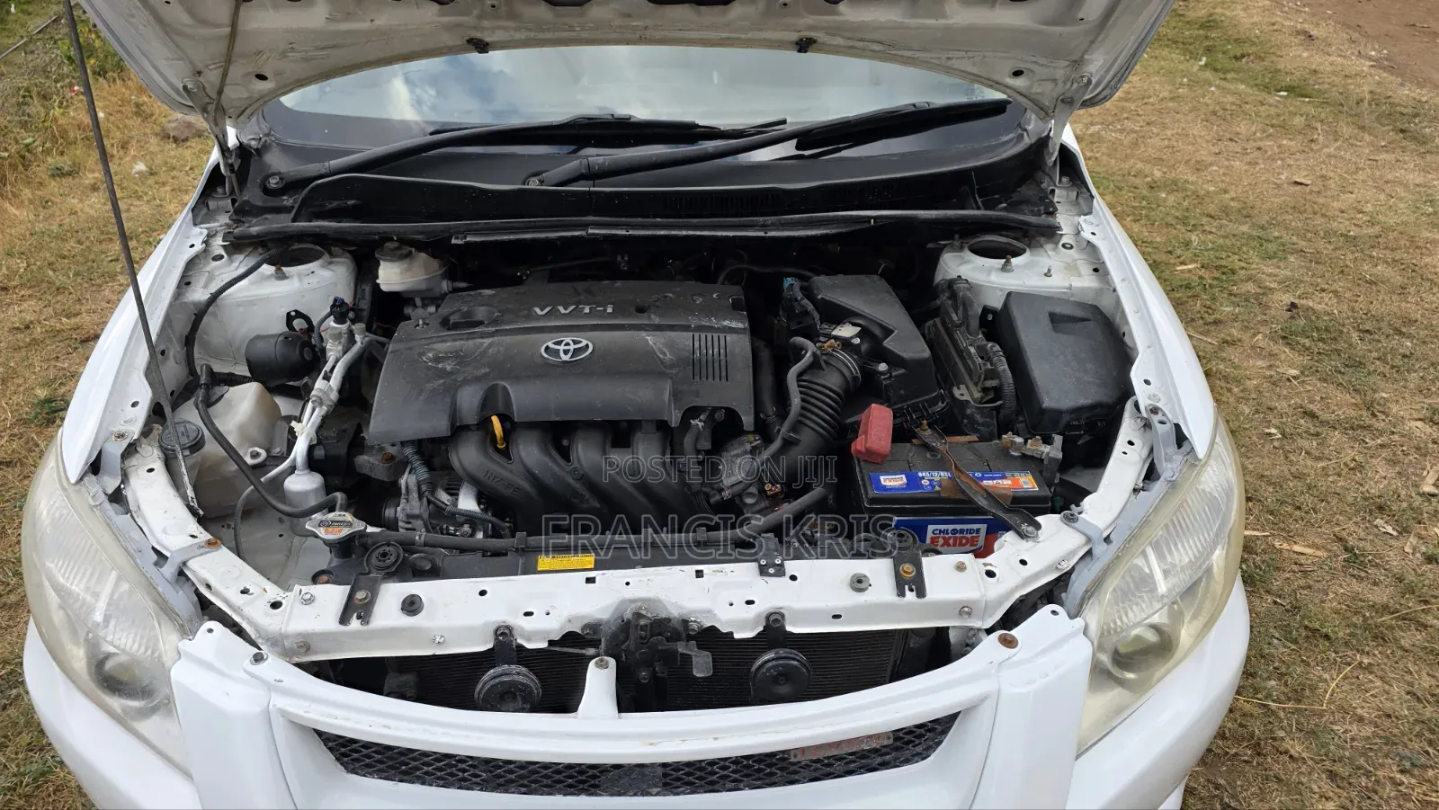 Toyota Axio 2008 Pearl