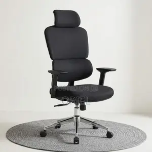 Office Chair : High-Back Lumbar Support Orthopedic Office Desk Chair