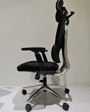 Office Chair : High-Back Lumbar Support Orthopedic Office Desk Chair
