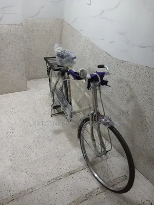 Heavy-Duty Size 29 Bike