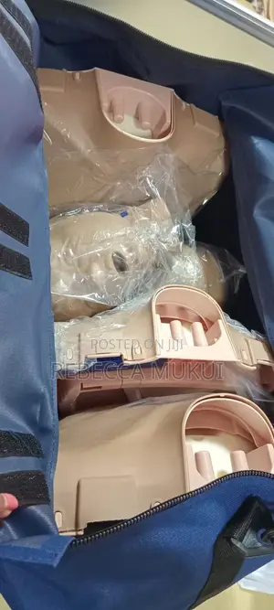 First Aid Training CPR Manekins
