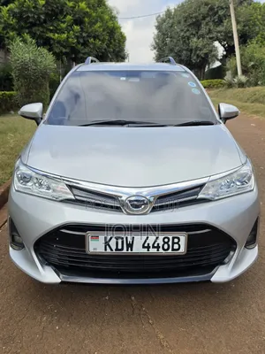Toyota Corolla Fielder 2019 Silver