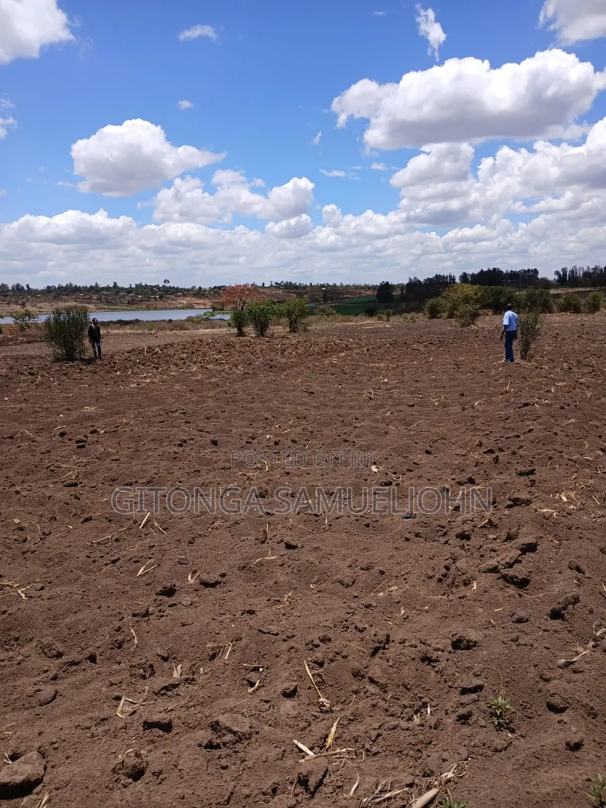 Alpha New Heri Kabati, 1/8 Acre Plots