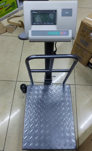 A12 Digital Platform Scale