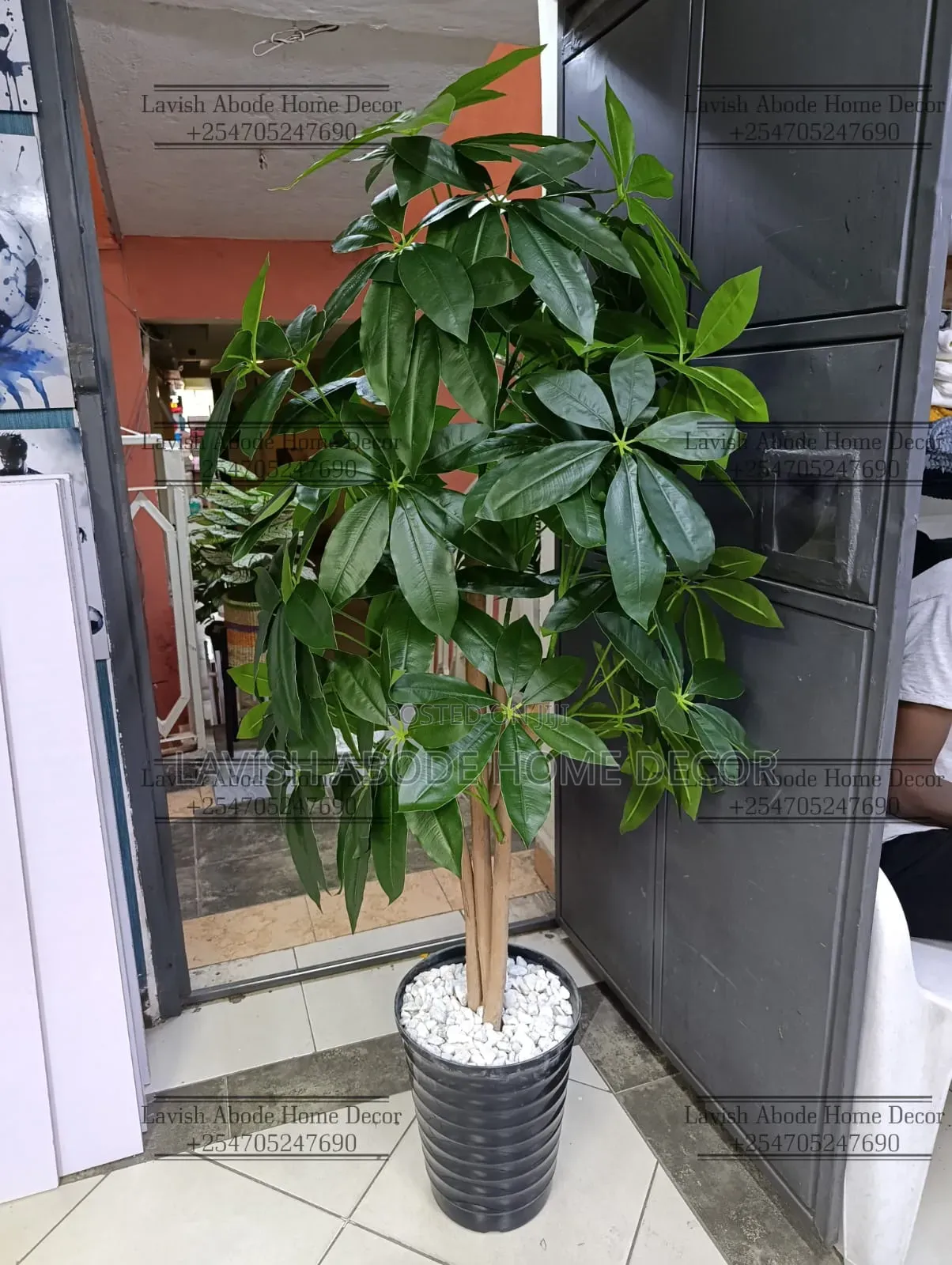Artificial Mango Plant in a Black Spiral Vase - Elegant Home Decor