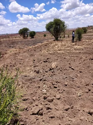 Alpha New Heri Kabati, 1/8 Acre Plots