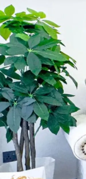 Artificial Mango Plant in a Black Spiral Vase - Elegant Home Decor