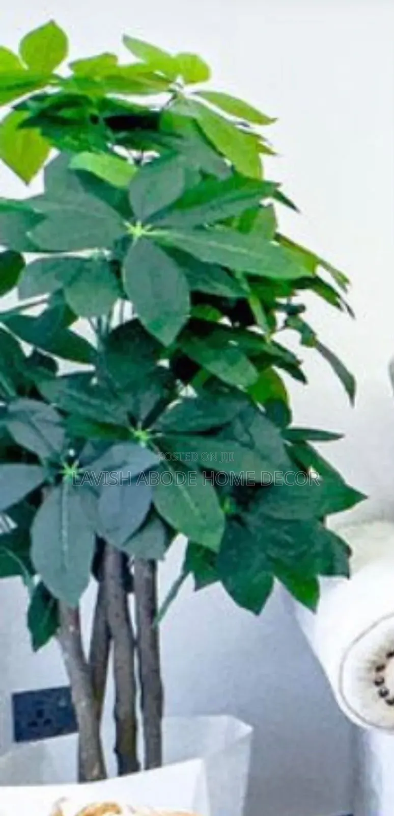Artificial Mango Plant in a Black Spiral Vase - Elegant Home Decor