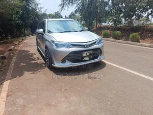 Toyota Corolla Fielder 2015 Silver