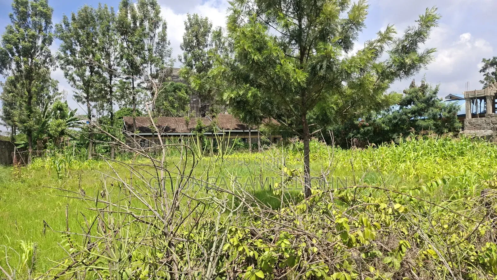 1/4 Acre Plot at Githurai 45. Title Ready