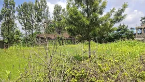 1/4 Acre Plot at Githurai 45. Title Ready