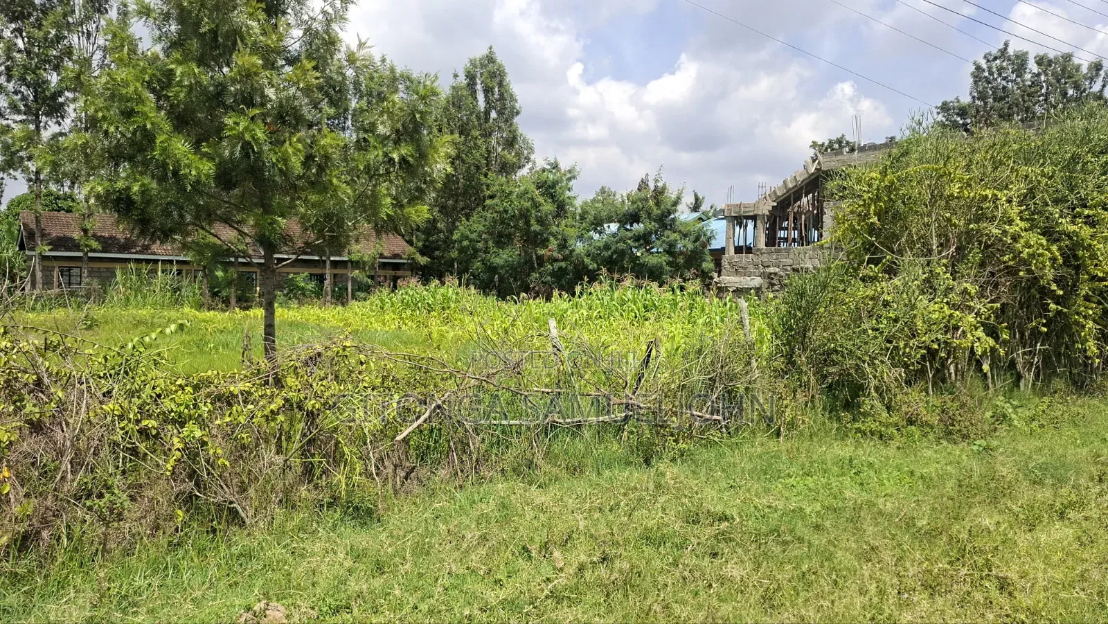 1/4 Acre Plot at Githurai 45. Title Ready