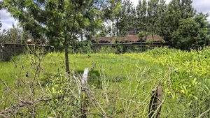 1/4 Acre Plot at Githurai 45. Title Ready