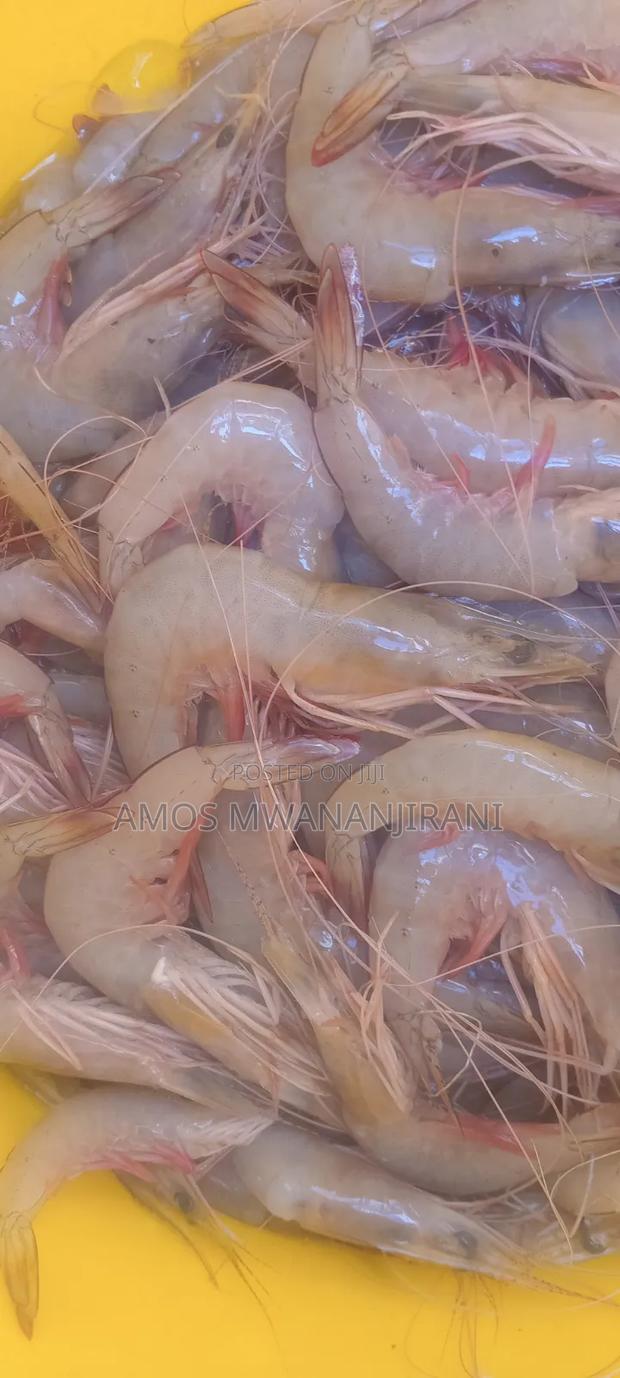 Fish Food Proucy