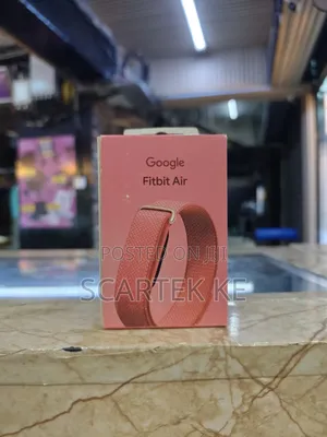 Google Fitbit Air